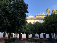 Blick auf den Alcazar Sevilla