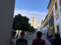 Blick auf die Kathedrale Sevilla