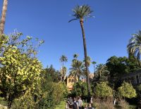 Garten Real Alcazar