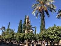 Innenhof der Mezquita Kathedrale