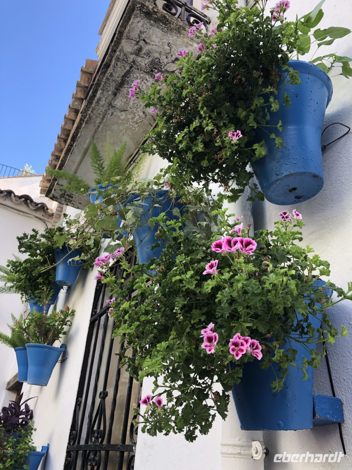 überall Blumentöpfe an den Wänden