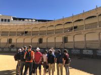 Warten auf den Stier?