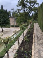 Granada und die Gärten der Alhambra