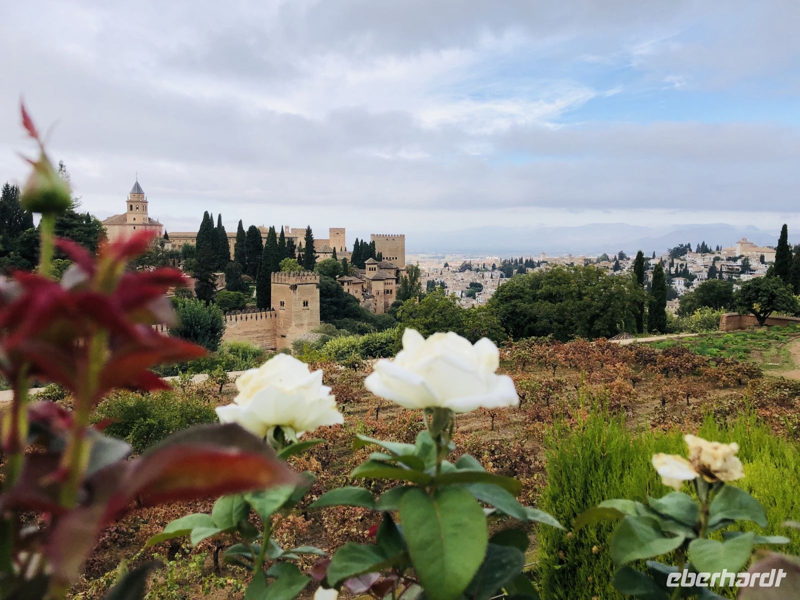 Ausblick Alhambra