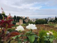 Ausblick Alhambra