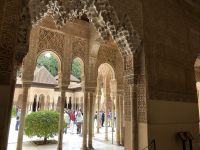 Blick in den Löwenhof