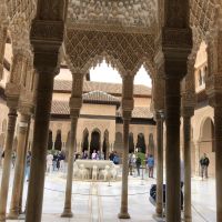 Blick auf den Brunnen im Löwenhof 