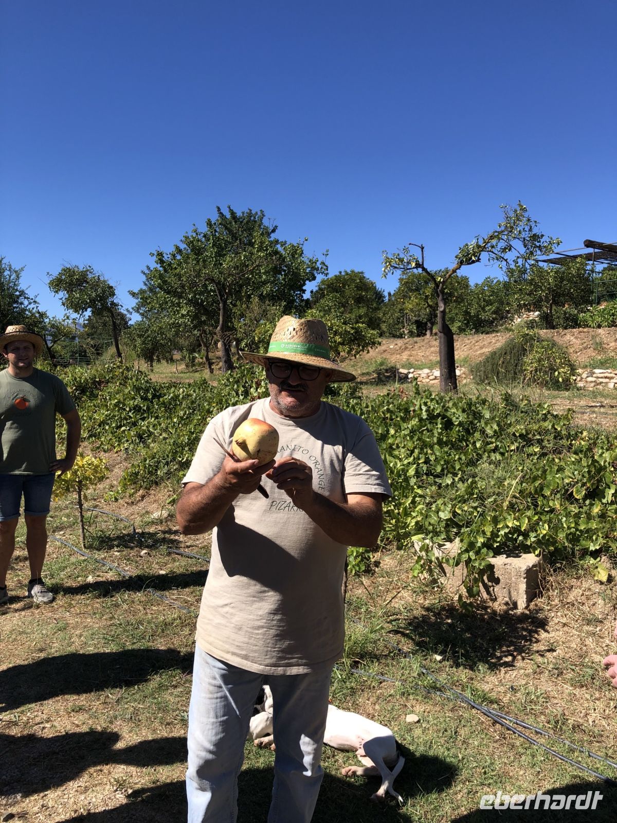 Besuch auf der Finca von Juanito