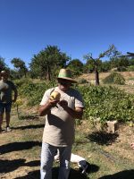 Besuch auf der Finca von Juanito