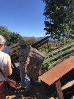 Spass und Wissen mit Juanito