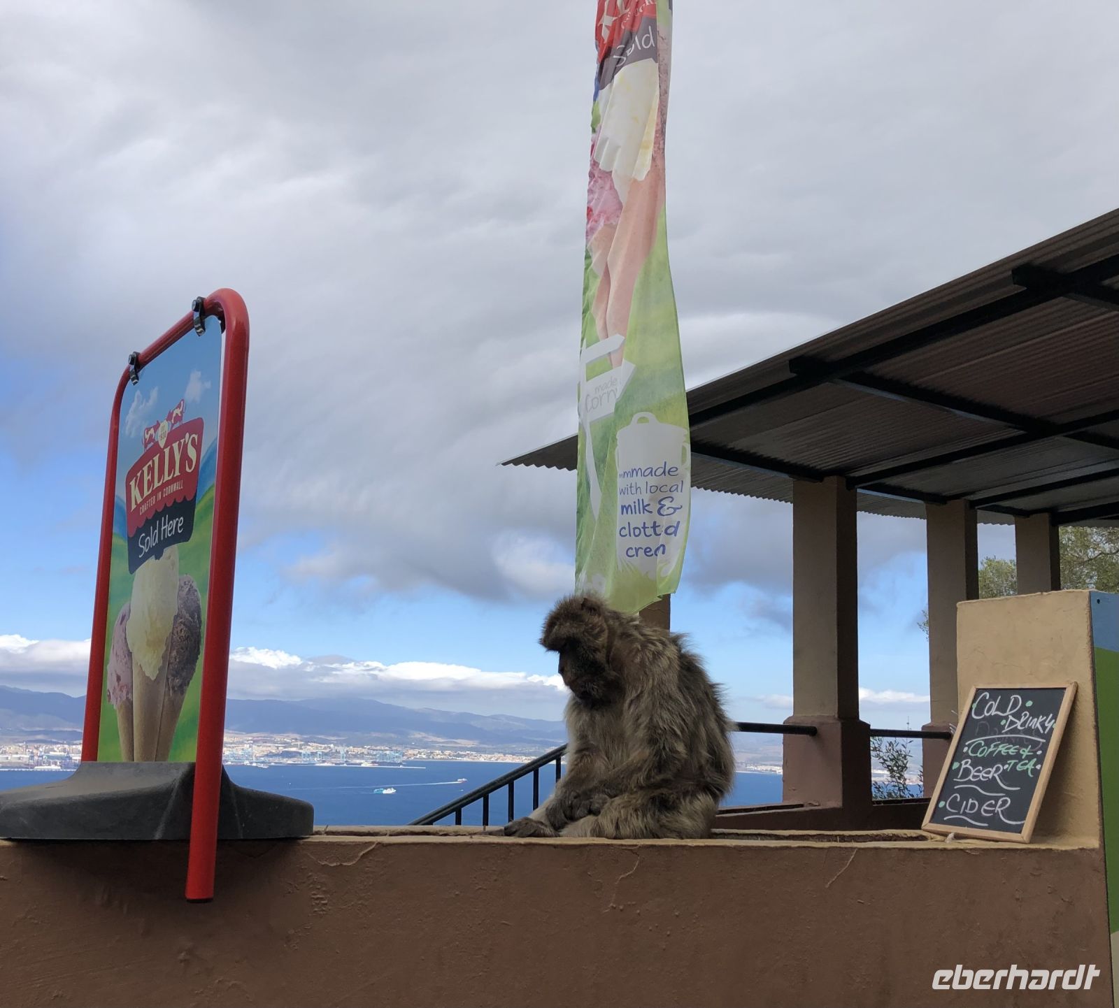 Verkauft der Affe uns ein Eis?