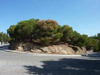 Solche Kurven sollten wir in den Folgetagen noch öfter sehen