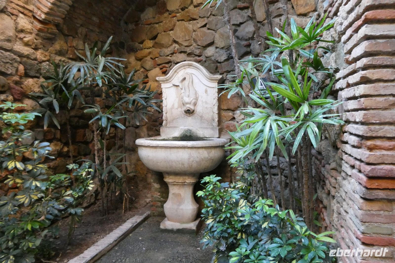 noch mehr Wasser bringt Kühlung