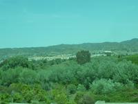 Citrusbäume, Olivenbäume und weiße Städte