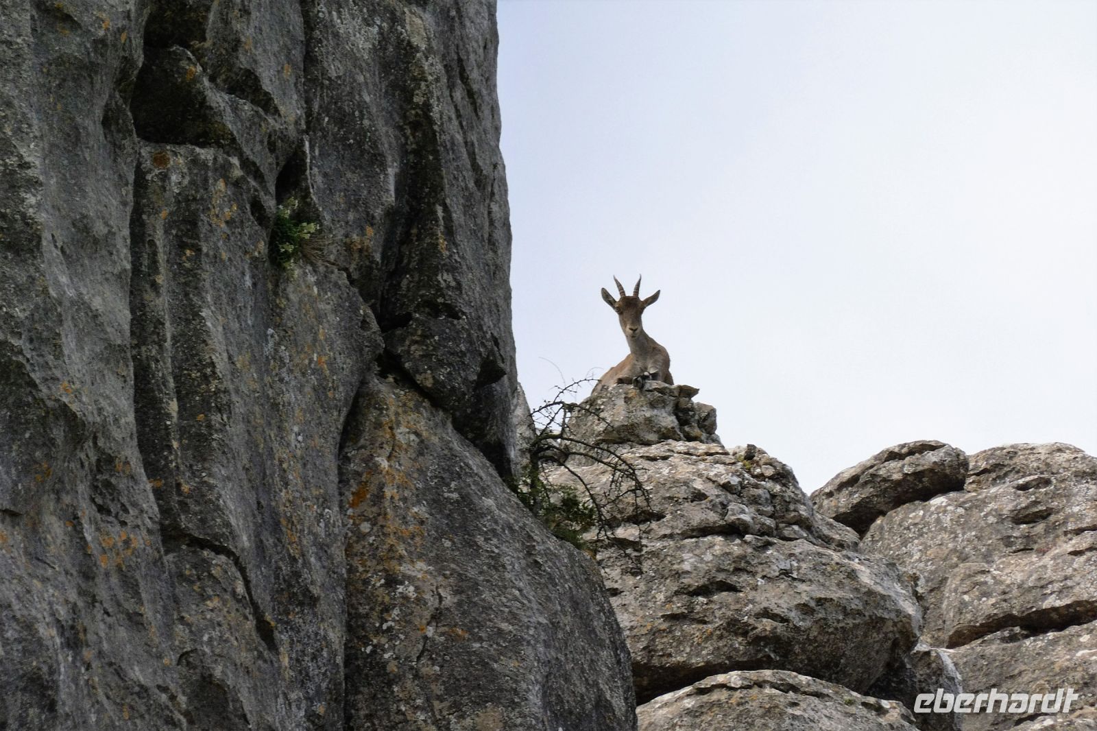 oben sieht man besser