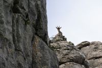 oben sieht man besser