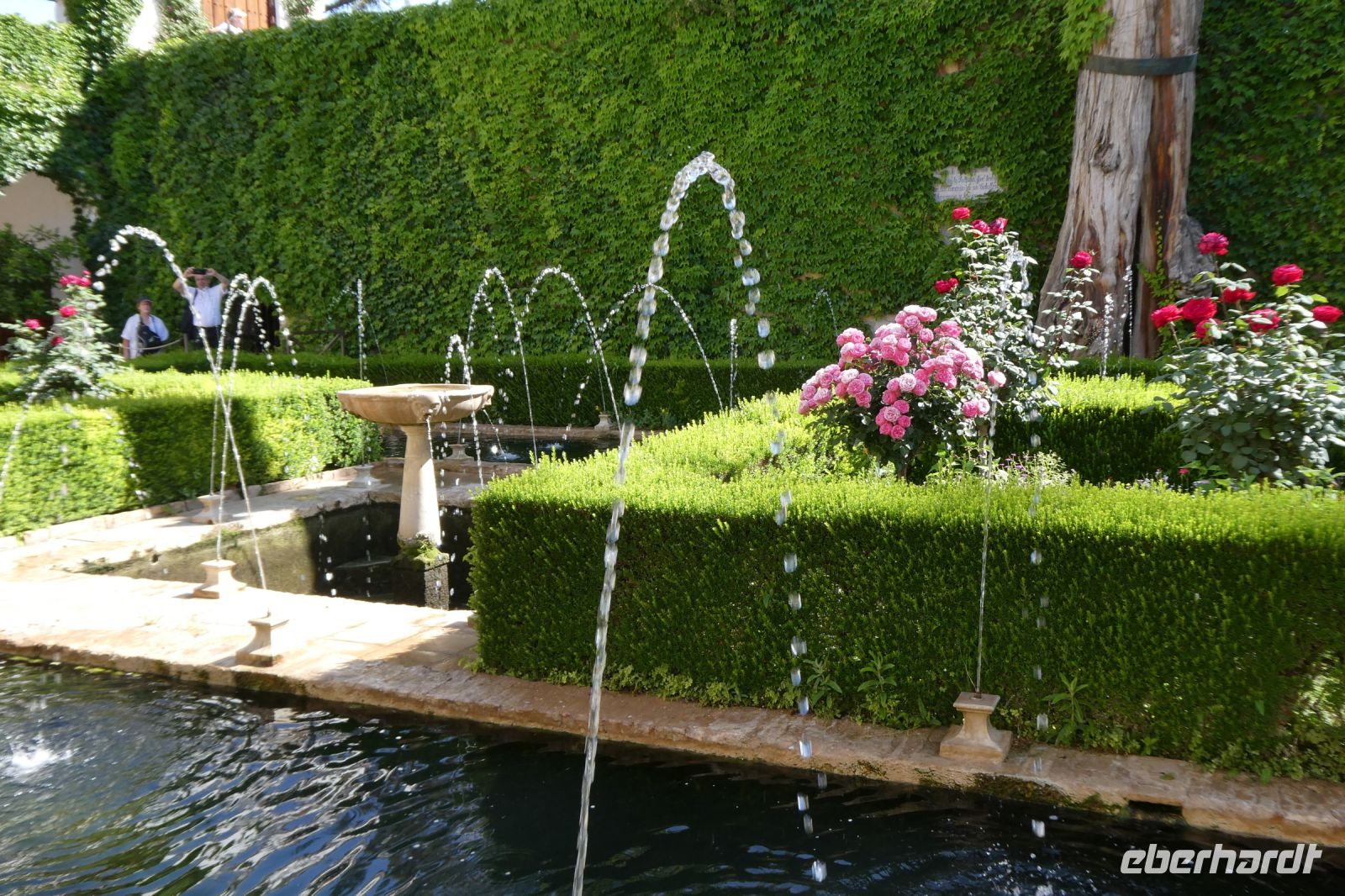 Wasser im Garten Eden