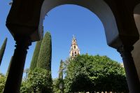 Blick vom Orangenhof zum Glockenturm