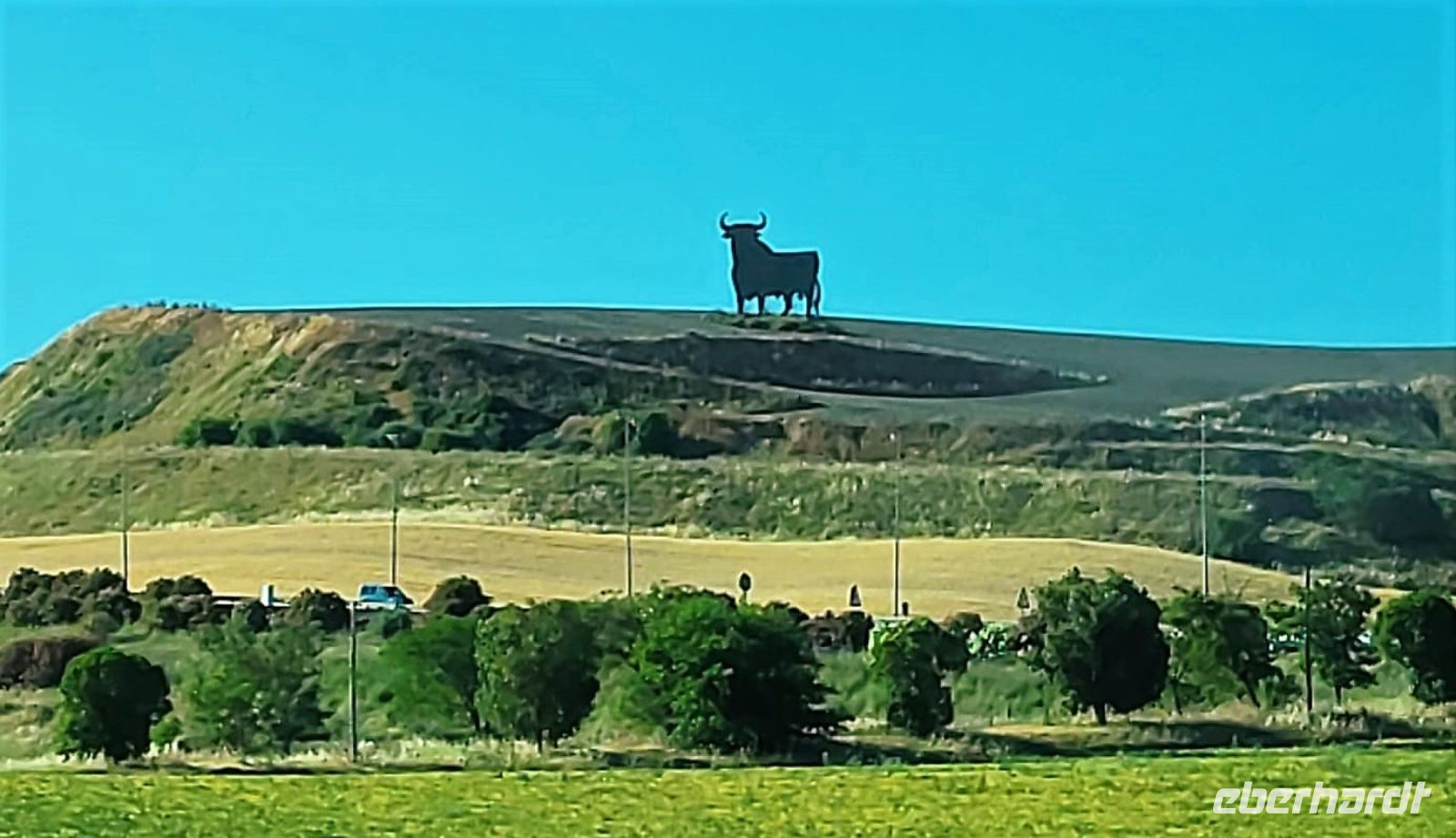 Grüße vom Osborne-Stier  