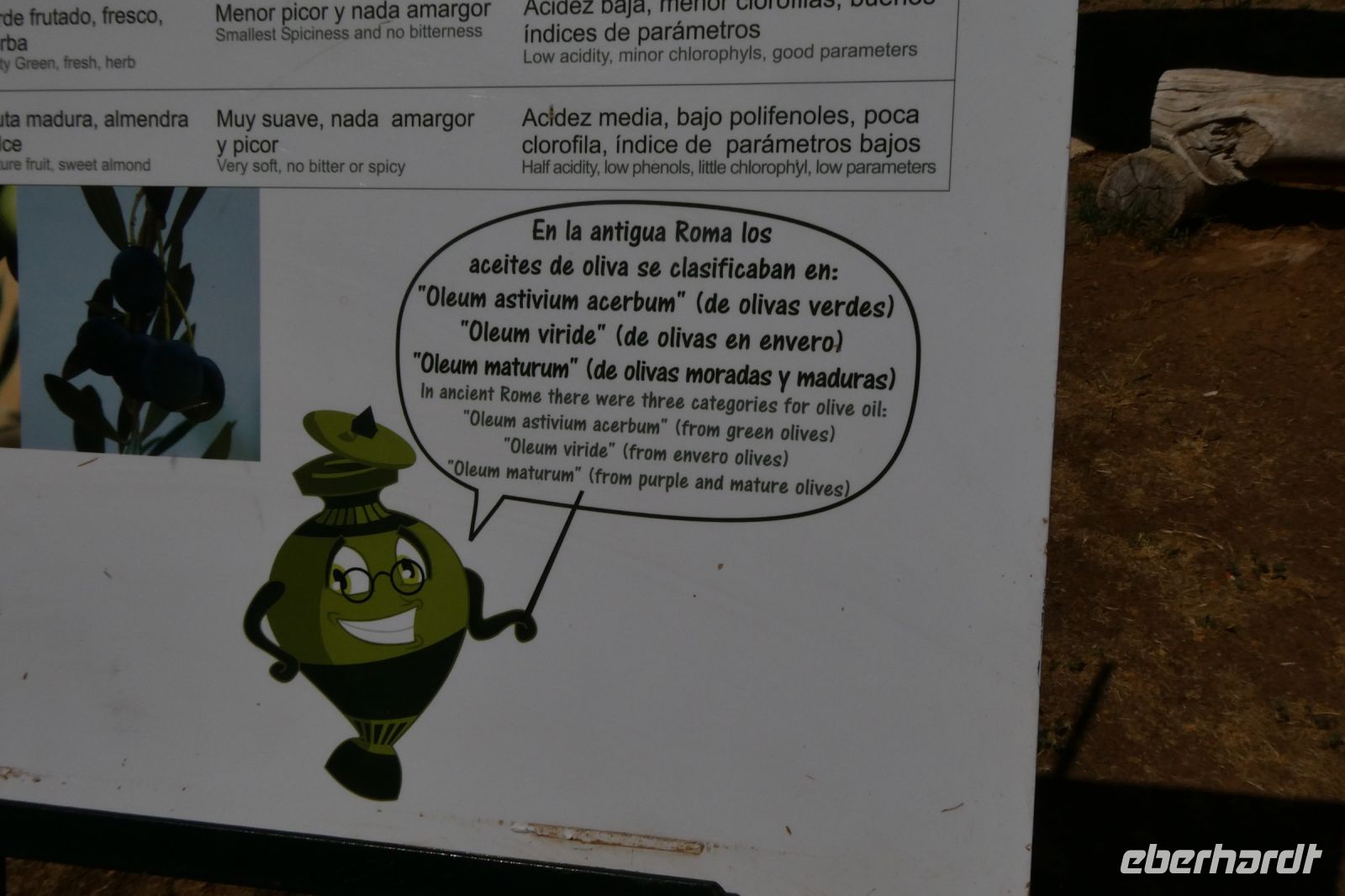 schön die Römer schätzten Olivenöl