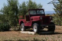 auf der Olivenhacienda