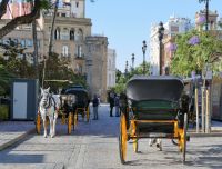 darf es eine Kutsche sein?