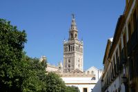 la Giralda - ehemals Minarett der Almohaden heute Glockenturm