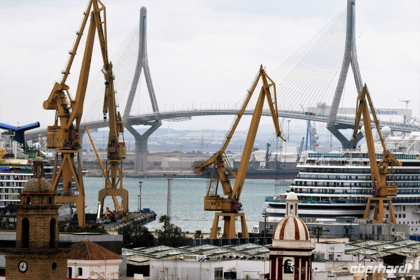 tanzende Kräne vor Kulisse