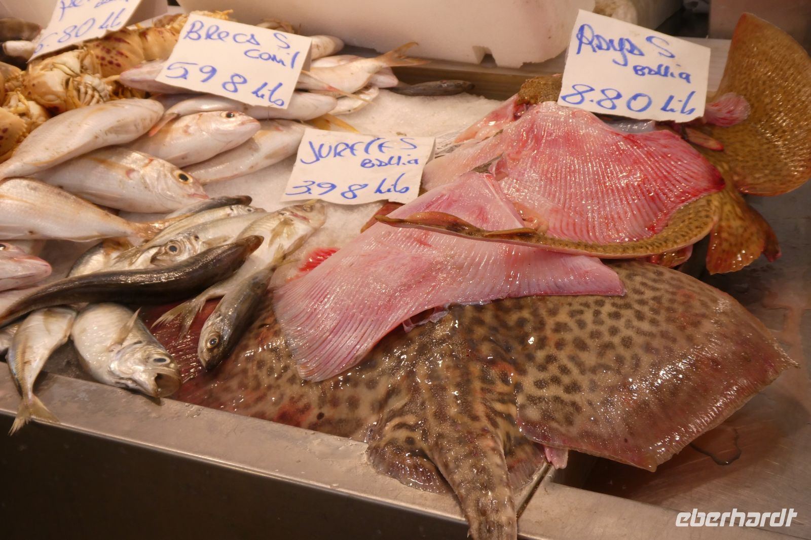 vielseitiges Fischangebot