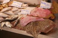 vielseitiges Fischangebot