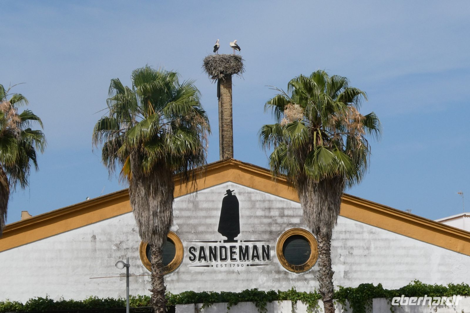 Sandeman immer präsent