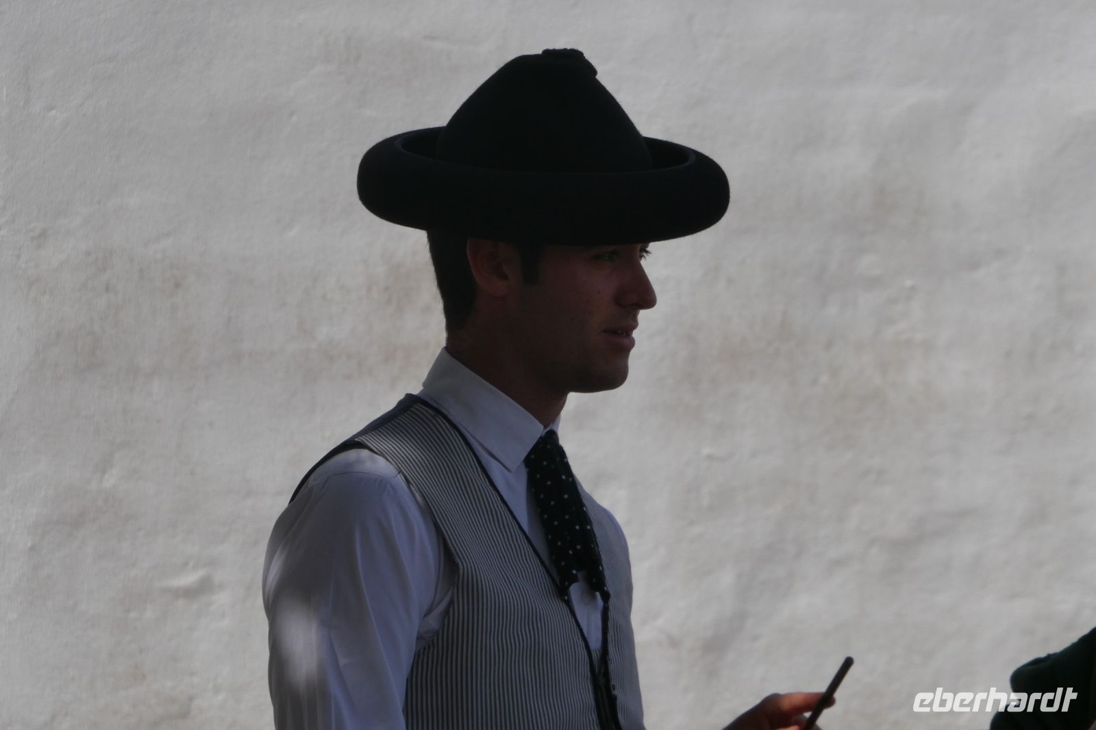 in der Spanischen Hofreitschule