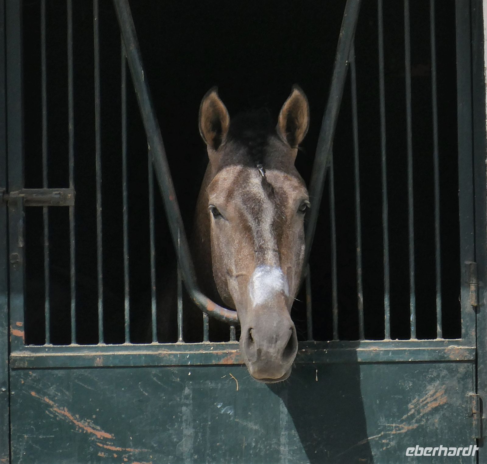 warten auf den Auftritt?