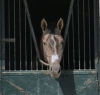 warten auf den Auftritt?