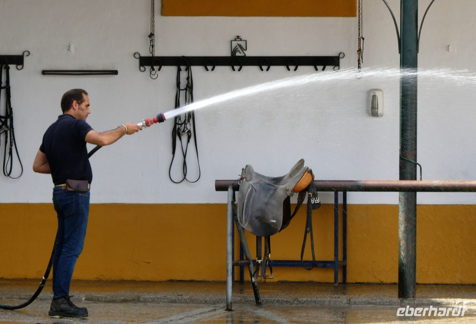 Hygiene für die edlen Pferde und Reiter