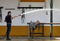 Hygiene für die edlen Pferde und Reiter