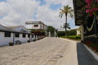 zur Sherry-Verkostung