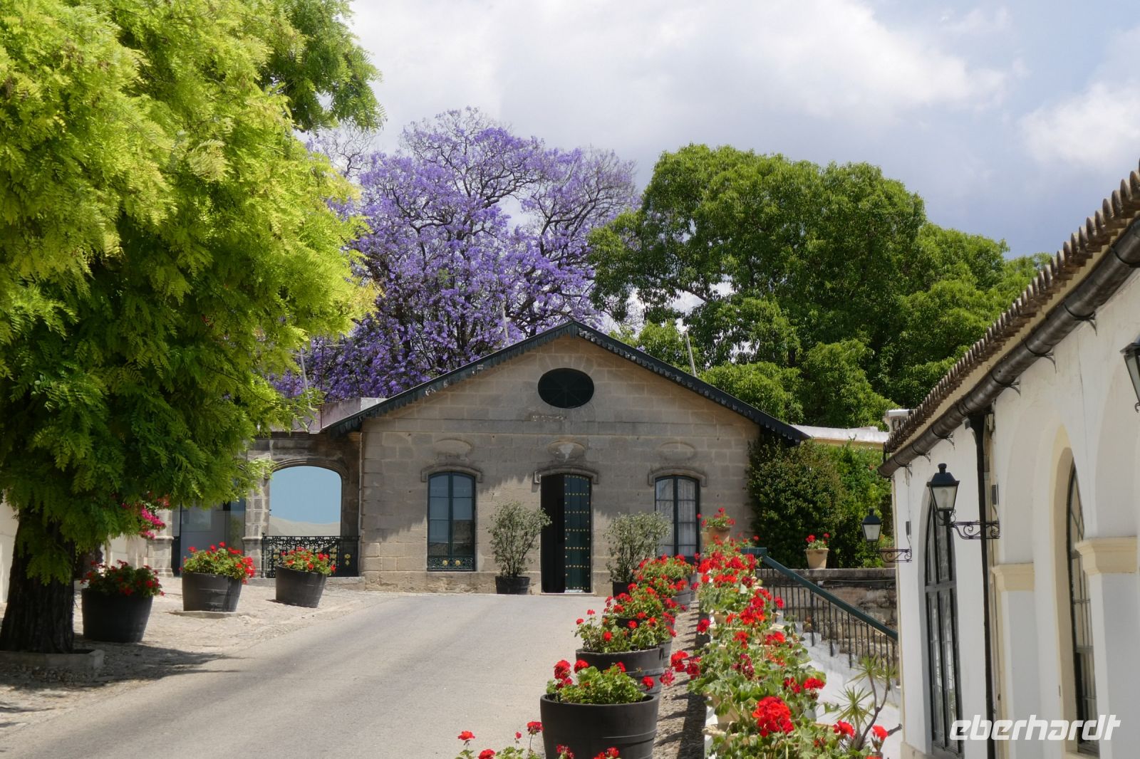 Blumenpracht einer reichen Destille