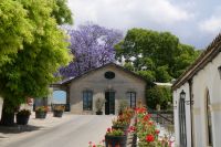 Blumenpracht einer reichen Destille