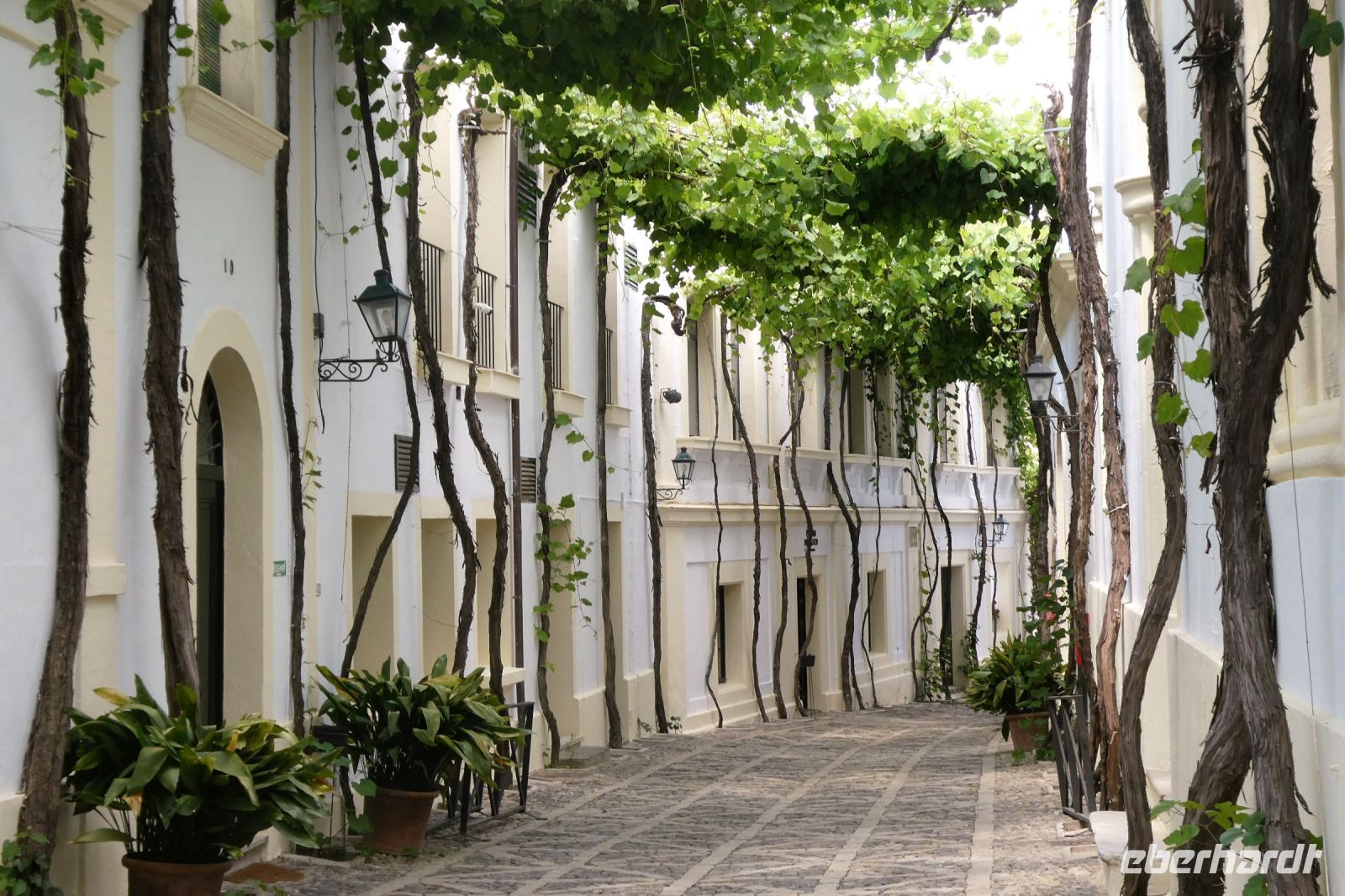 ehemalige Gasse in Jerez - heute Weingut