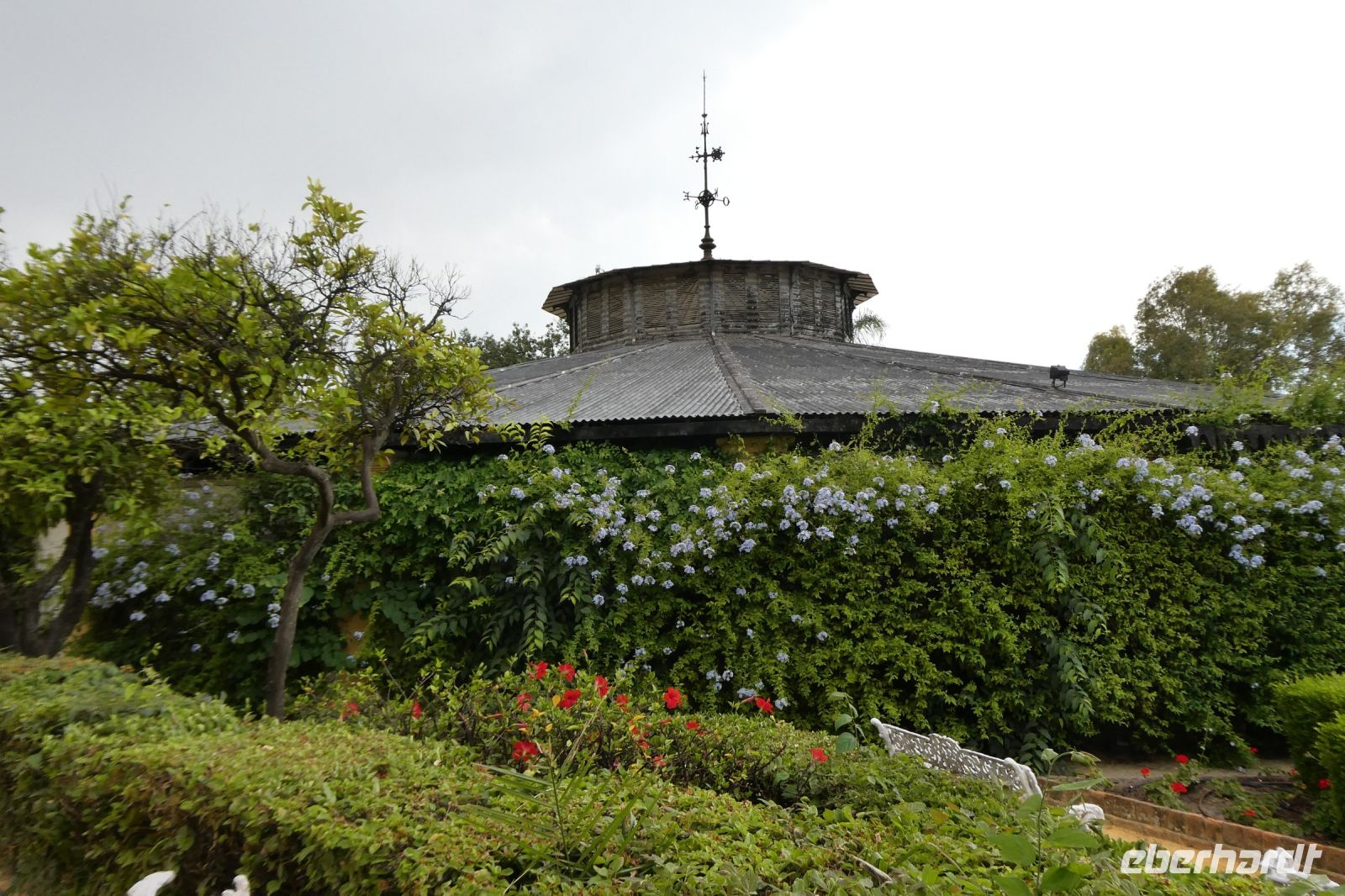 aus dem letzten Jahrhundert