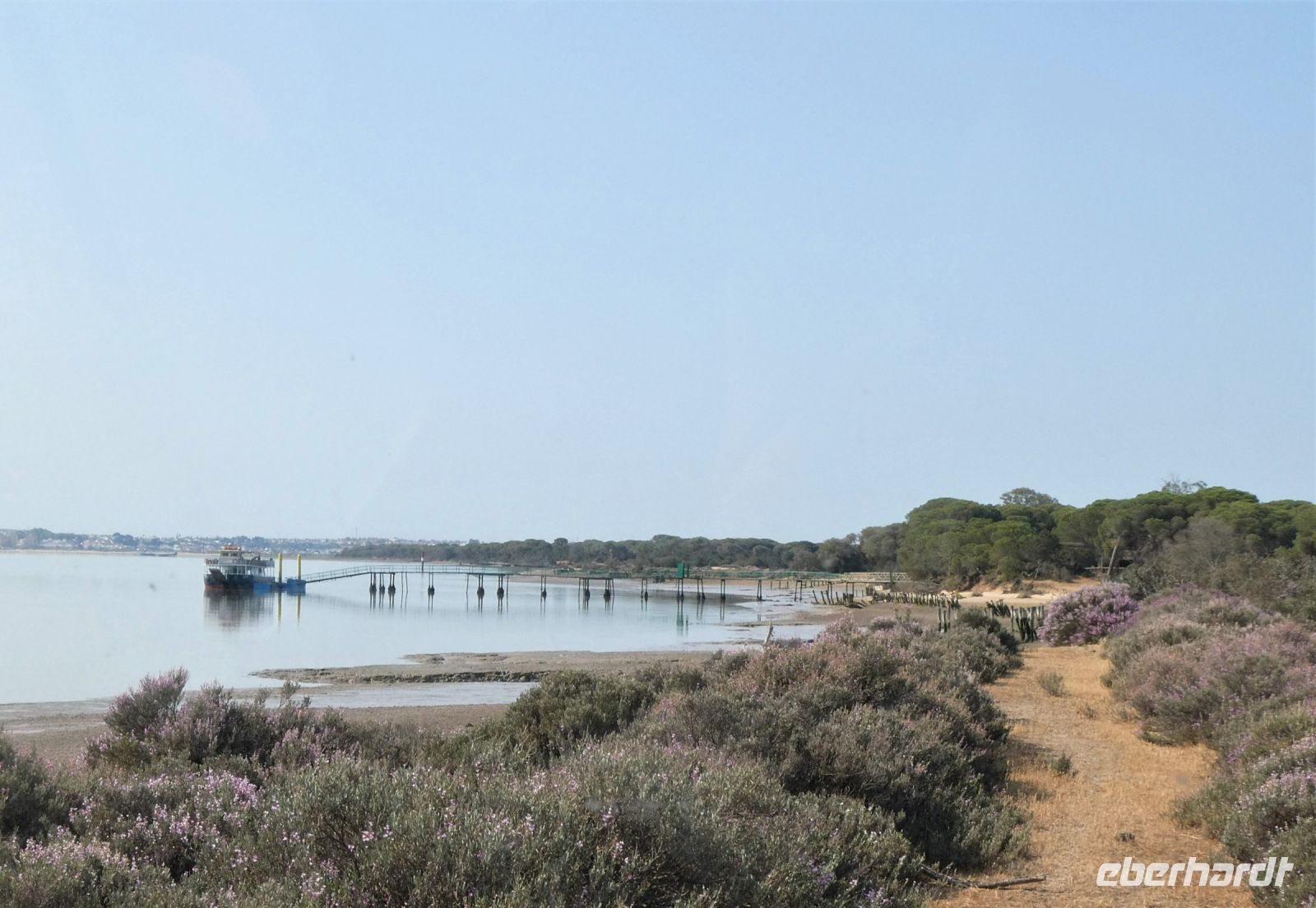 Landschaft im Donana NP
