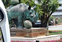 Rhinozeros von Dali im Vorbeifahren