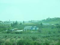 Auf dem Weg zurück ging es wieder vorbei an Olivenbäumen