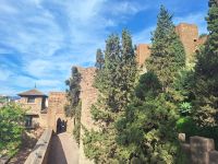 Malaga: Alcazar
