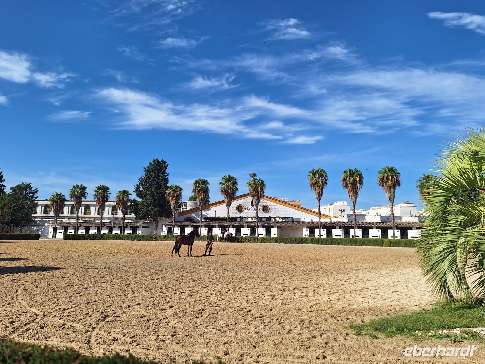 Jerez de la Frontera: Königliche Hofreitschule