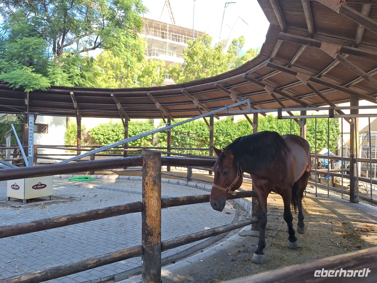 Jerez de la Frontera: Königliche Hofreitschule