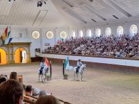 Jerez de la Frontera: Königliche Hofreitschule