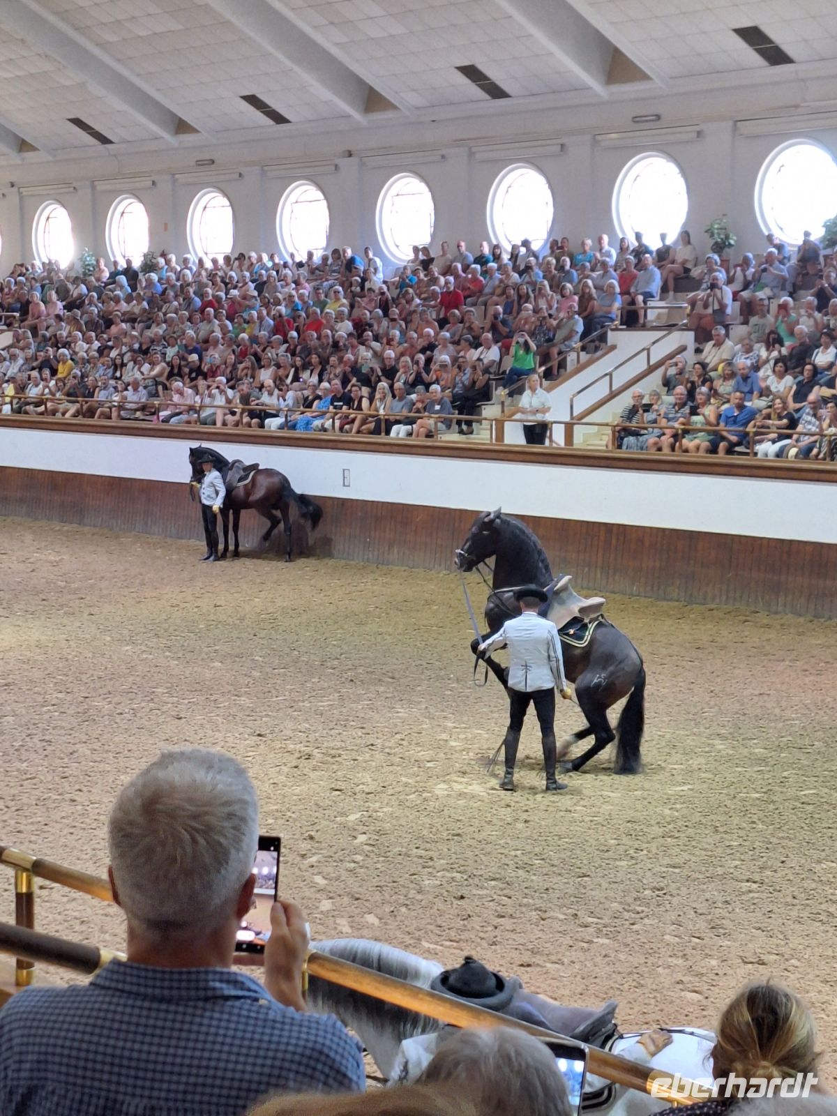 Jerez de la Frontera: Königliche Hofreitschule