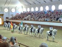 Jerez de la Frontera: Königliche Hofreitschule